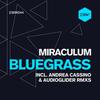 Blue Grass (Audioglider Remix) - MiraculuM