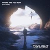 Where Are You Now(feat. Kiki) - Twilight Music Sculpture&Kiki