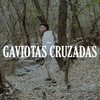 Gaviotas Cruzadas - piter&Jr3 Studio