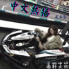 辞九门回忆 (DJ弹鼓版) - 晚期俞