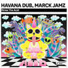 Rinse The Acid (Original Mix) - Havana Dub&Marck Jamz