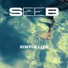 Simple Life - Seeb