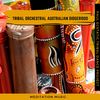 Tribal Drummed Didgeridoo (Ethnic Style) (Original Mix) - Paul Ecstatic Tribal Dance Project