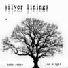 Silver Linings (Explicit) - Joe Wright&Anna Renae