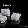 Salt - Victor Vela