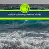 Bubbling Ocean Waves - Eric Library of Nature Sounds