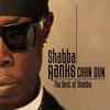 Pirate's Anthem - Shabba Ranks