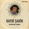 Ruhumdaki Yangın - Hayri Şahin