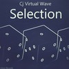 Kepler (Original Mix) - CJ Virtual Wave