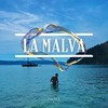 LA MALVA - DARSE