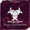 Smash Hit (Radio Edit) - Sasha F&Bass Brotherz