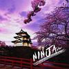 Ninja！ - AFar陈侣帆