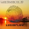 Lucid Sounds, Vol. Thirty Deep Flow II - Mrs. Robot