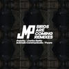 Birds Are Coming - Pyura Remix - DJ JMP&Pyura&Juan Manuel Piatti&Manuel Daulerio