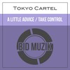 Take Control (Original Mix) - Tokyo Cartel