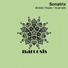 Incarnate (Original Mix) - Sonatrix