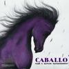 Caballo - TEOR&Sepehr Mahdavidoost&Amir Teor