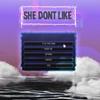 She Dont Like (feat. Pyrrhic) - Xandr&Pyrrhic