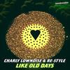 Like Old Days - Charly Lownoise&re-style