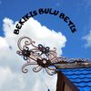 BEKIKIS BULU BETIS - Desy