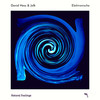 Elektronische (Original Mix) - David Hess&Jolk