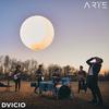 ARTE - Dvicio