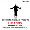 Rest of My Life(Tribute to Ludacris) - The Dream Team&Usher&David Guetta