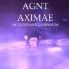 TASTExTOWARDSxFLESH - AGNT AXIMAE