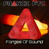 Forges of Sound - Franck FTC