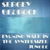 Evening Walk In The Synthesized Jungle (Original Mix) - Sergey Bedrock