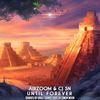 Until Forever (Original Mix) - Airzoom&CJ SN