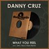 What You Feel (Dirty Disco Stars Remix) - Danny Cruz