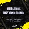 Ai Que Saudade Delas Jogando o Bumbum (Explicit) - Aguillera&Dj Feeh Ribeiro&MC ZL&$6is