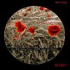 Caramandunga (Original Mix) - Kenny Brian&Ciprian Iordache