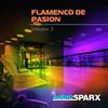 Flamenco Passion (Gypsy Mix) - Andy L