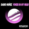 Voices in My Head - Dario Nunez