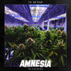 Amnesia - Vk&Stackz&73 De Pijp