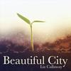 Beautiful City - Liz Callaway