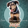 Nadie Le Hace Caso a Esta Canción - Arje