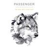 Simple Song - Passenger