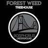 Rollercoaster (Original Mix) - Forest Weed