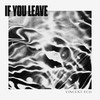 If You Leave - Vincent Eco