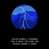 This Is What You Came For (Helena Legend Remix) - Helena Legend&Calvin Harris&Rihanna