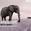 African Steppe (Original Mix) - Breeze & Quadrat