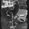 Trials & Tribulations (Explicit) - Tha Baby