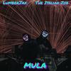 Mula (feat. The Italian Job) (Explicit) - LumberJax&The Italian Job