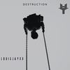 Destruction - LOUIEJAYXX