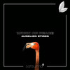 Work Of Peace - Aurelien Stireg&Satsuma Music
