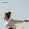 Fly - Janousek