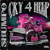 CRY 4 HELP (Explicit) - Hollyhood Shumpo